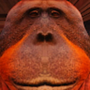 Meet your Posher, Klein